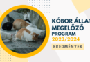 Eredmények – Megelőzés program 2023/2024