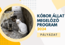 Pályázat – Kóbor Állat Megelőzés 2024