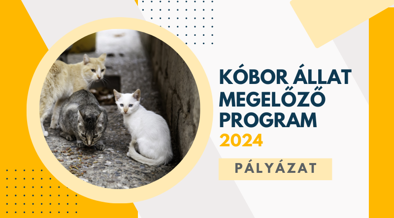 Pályázat – Kóbor Állat Megelőzés 2024